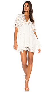 Eyelet flare dress - Nightcap