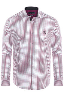 Shirt Sir Raymond Tailor