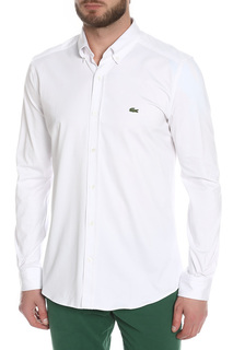 Поло Lacoste