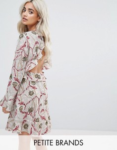 Короткое приталенное платье в цветочек с открытой спиной Boohoo Petite - Розовый