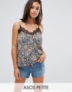 Топ со звериным принтом и кружевной отделкой ASOS PETITE - Мульти