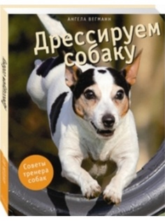 Книги Белый город