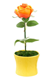 Композиция декоративная ENS