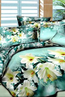 Постельное белье 2,0 сп 70x70 Patrizia
