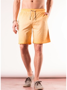 Шорты Colours &amp; sons