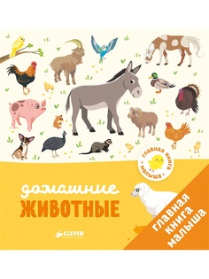 Книги Издательство CLEVER