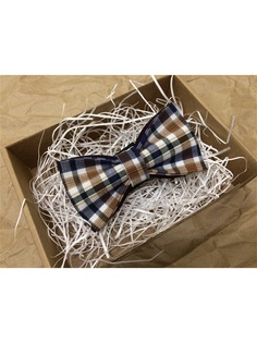 Бабочки Чинаски