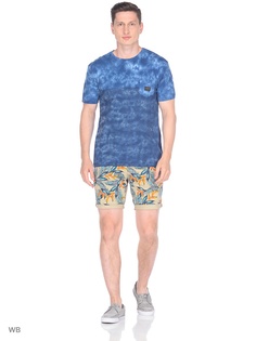 Шорты Quiksilver