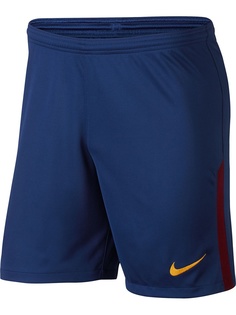 Шорты Nike