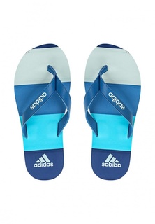 Сланцы adidas Performance