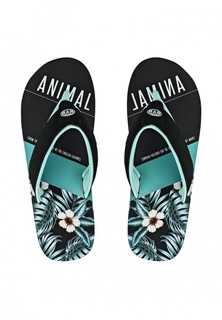 Сланцы Animal