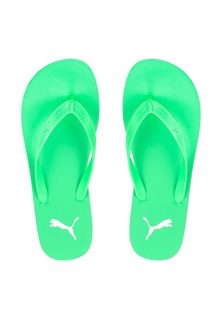 Сланцы Puma