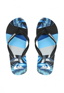 Сланцы Quiksilver