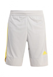 Шорты adidas Performance