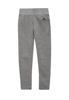 Брюки спортивные adidas Performance