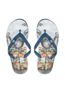Сланцы Fresh Brand