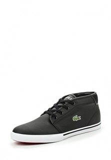 Кеды Lacoste
