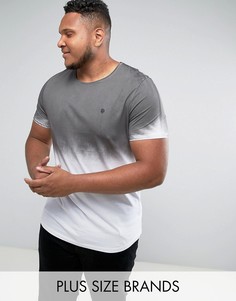 Удлиненная обтягивающая футболка с эффектом омбре Noose &amp; Monkey PLUS - Серый