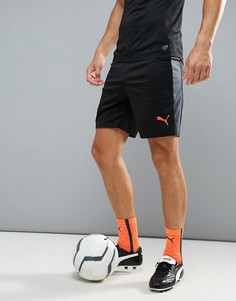 Черные спортивные шорты Puma Football evoTRG 65534406 - Черный