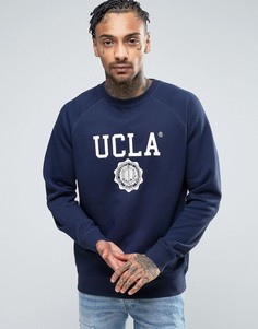 Свитер с логотипом UCLA - Темно-синий