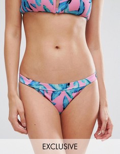 Бикини трусы-хипстеры с пальмовым принтом эксклюзивно для ASOS FULLER BUST Malibu - Мульти