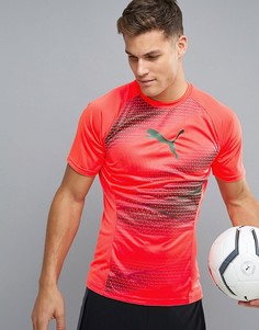 Оранжевая спортивная футболка с принтом Puma Football evoTRG 65533506 - Оранжевый
