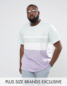 Синяя футболка в стиле колор блок Puma PLUS эксклюзивно для ASOS 57659201 - Синий