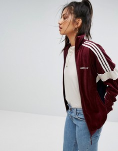 Велюровая спортивная куртка бордового цвета adidas Originals - Красный