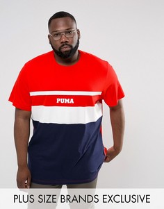 Красная футболка колор блок Puma PLUS эксклюзивно для ASOS 57659202 - Красный