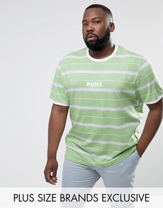Зеленая футболка в полоску в стиле ретро Puma PLUS эксклюзивно для ASOS 57658601 - Зеленый