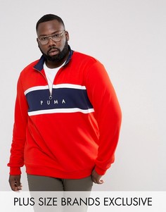 Красный свитшот с короткой молнией Puma PLUS эксклюзивно для ASOS 57658902 - Красный