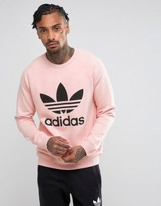 Розовый свитшот с круглым вырезом и трилистником adidas Originals BS2196 - Розовый