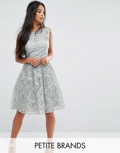 Кружевное короткое приталенное платье Little Mistress Petite - Мульти
