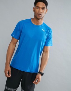 Синяя футболка для бега Puma 51500812 - Синий