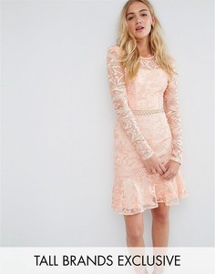 Короткое приталенное кружевное платье True Decadence Tall - Розовый