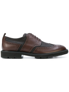 classic brogues Tods Tod`S