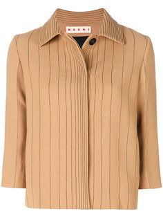 pinstripe jacket Marni