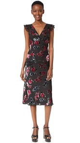 Anna Sui Rose Maxi Dress