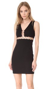 Bailey44 Rad Dress