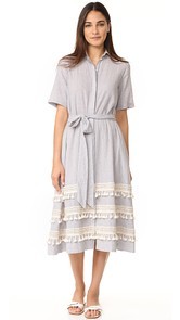 Birds of Paradis A-Line Shirtdress