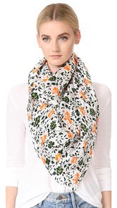 Club Monaco Catrella Scarf