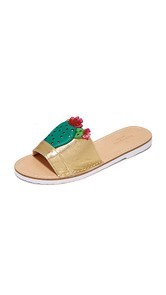 Kate Spade New York Iguana Cactus Slides