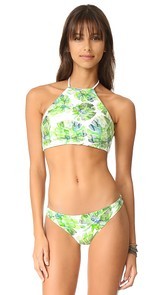 Shoshanna High Neck Halter Bikini Top