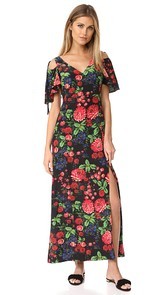 Club Monaco Auditta Maxi Dress