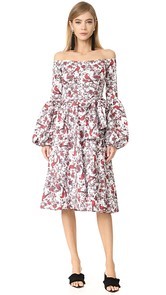 Caroline Constas Gisele Tea Length Dress