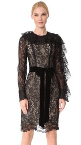 Monique Lhuillier Dress with Ruffle Sleeves