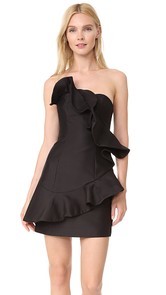 Keepsake Wallflower Mini Dress