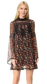 Anna Sui Pansy Print Crinkle Chiffon Dress