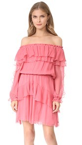 Parker Palmero Dress