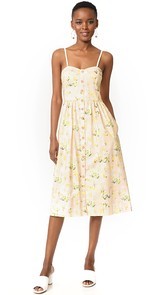 Rebecca Taylor Sleeveless Firefly Floral Dress
